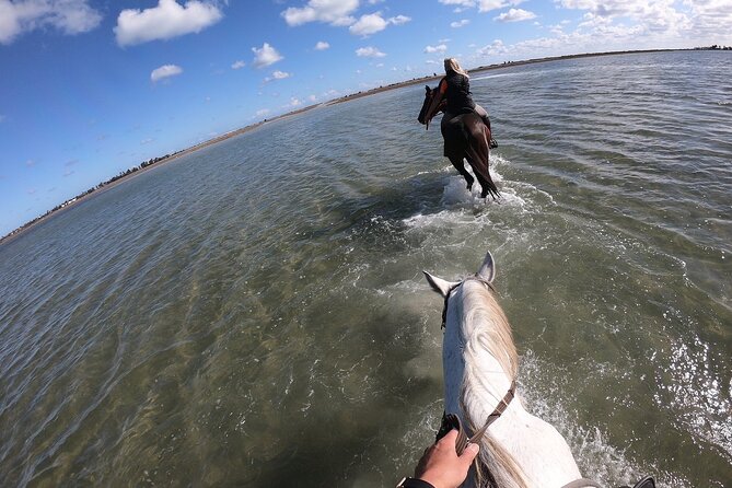 Discovery ride on horseback or camel 2h30 - The short break beside the water