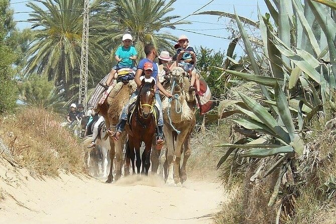 Discovery ride on horseback or camel 2h30 - Guides, riding ability, and group size