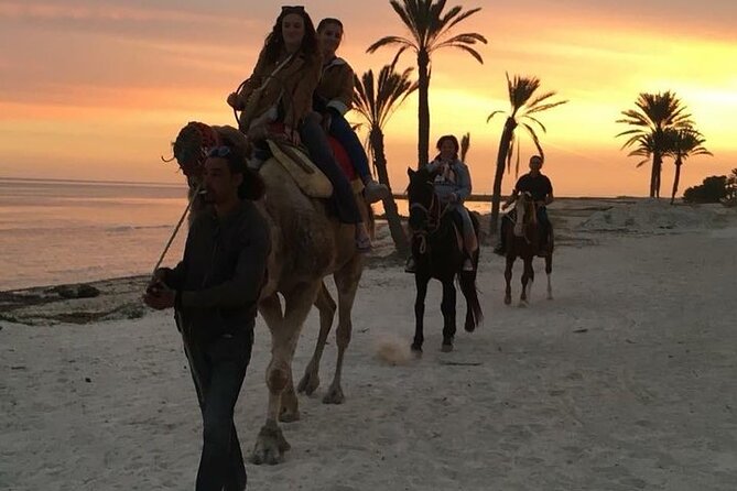 Discovery ride on horseback or camel 2h30 - Horse or camel: which choice fits you?