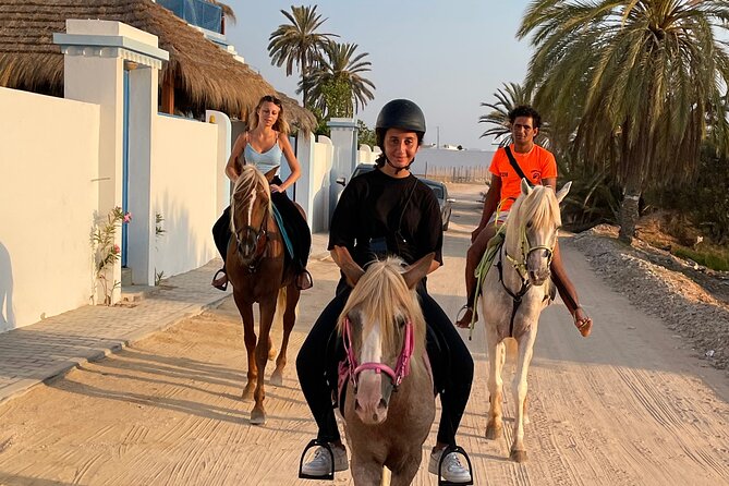 Discovery ride on horseback or camel 2h30 - Animal care and the feel of the ranch
