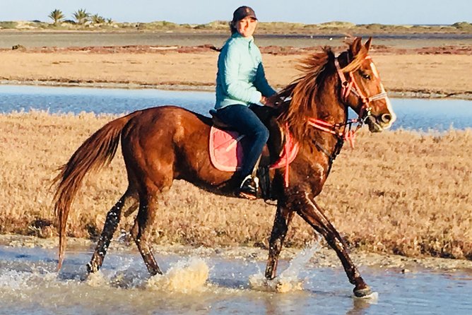 Discovery ride on horseback or camel 2h30 - Reaching the lagoon on horseback or camel