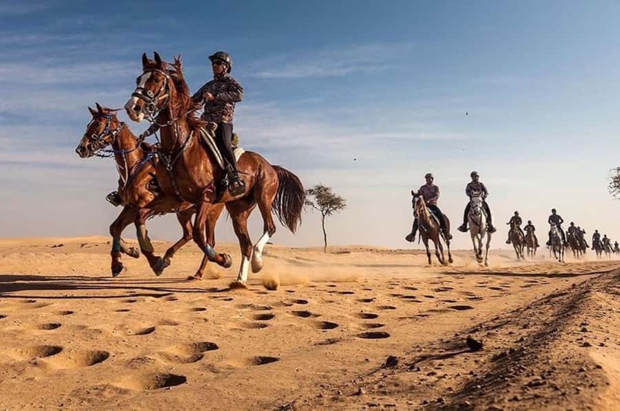 Doha : Arabian Horse Ride Experience With Pickup & Drop Off - A quieter way to see Qatar’s desert