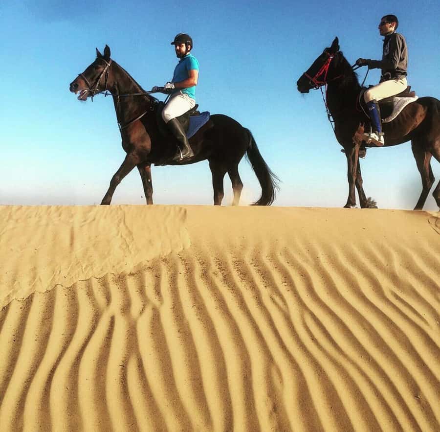 Doha : Arabian Horse Ride Experience With Pickup & Drop Off - Meeting your horse and getting comfortable