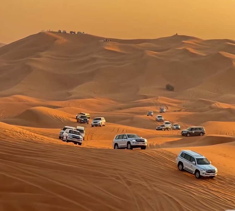 Doha : Arabian Horse Ride Experience With Pickup & Drop Off - Practical preparation for the desert