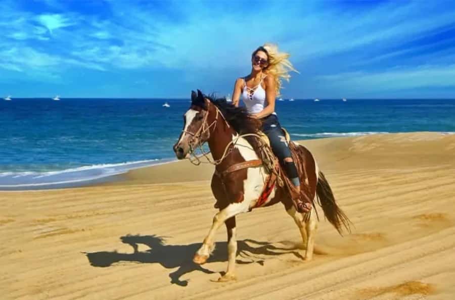 Doha : Arabian Horse Ride Experience With Transfer - From Doha to the open desert near Sealine