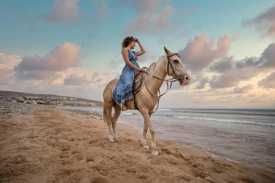 Doha : Arabian Horse Ride Experience With Transfer - One hour of horseback riding at Sealine