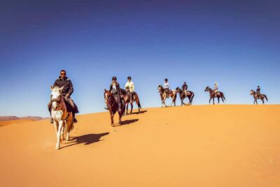 Doha : Arabian Horse Ride Experience With Transfer