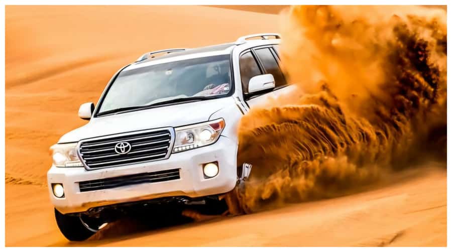 Doha : Arabian Horse Ride Experience With Transfer - What $169 includes, and what it does not