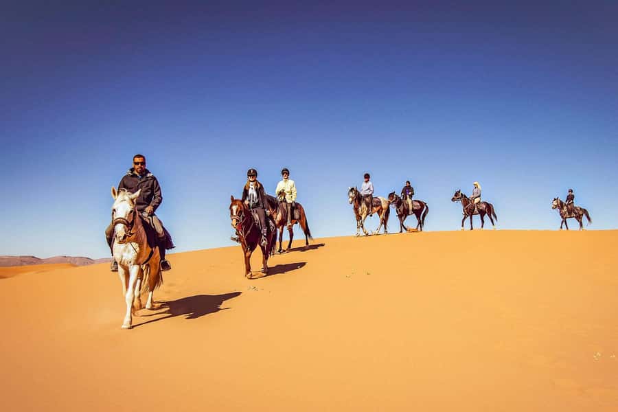 Doha : Arabian Horse Ride Experience With Transfer - Meeting your horse and getting comfortable in the saddle