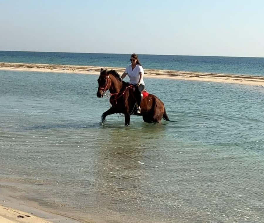 Doha: Arabian Horse Riding Experience –Sea or Desert Options - What happens at the riding school