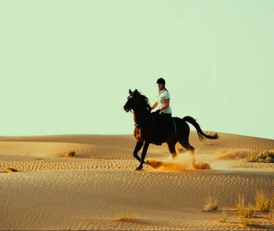 Doha: Arabian Horse Riding Experience –Sea or Desert Options - Seaside riding: calm views and strong photo appeal
