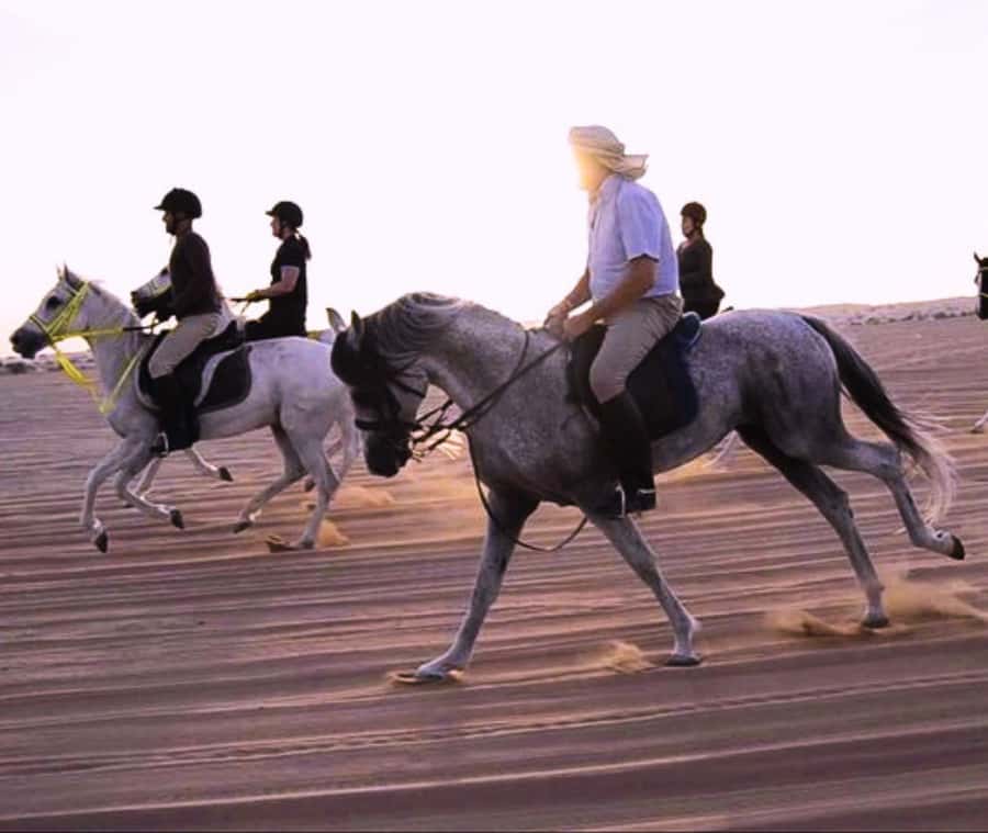 Doha: Arabian Horse Riding Experience –Sea or Desert Options - Guides, photos, and the private-car advantage