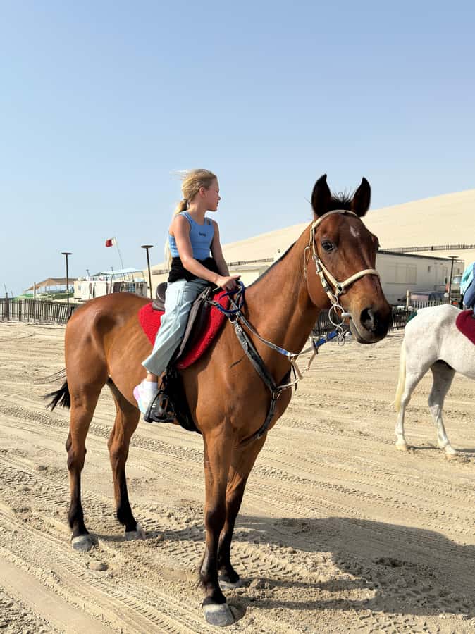 Doha: Arabian Horse Riding Experience –Sea or Desert Options - Is $123 a good value?