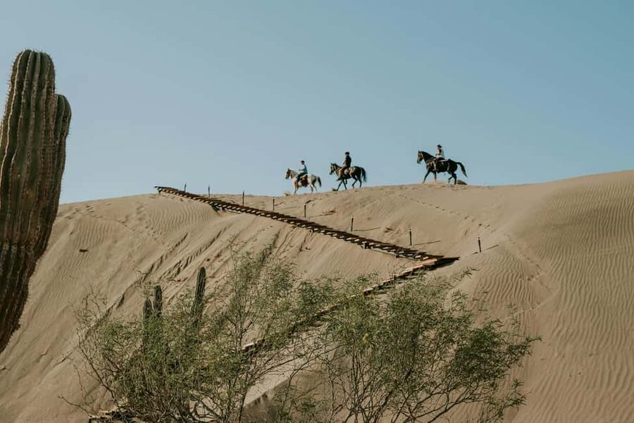 Doha: Arabian Horse Riding on the Seashore with Pickup - Starting with hotel pickup in Doha