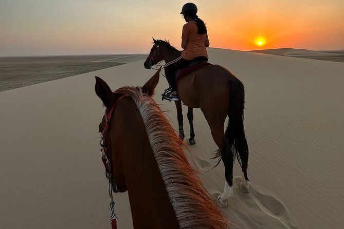 Doha Desert Safari Horse Riding, Camel Ride, ATVs & Inland Sea - Key points before you book