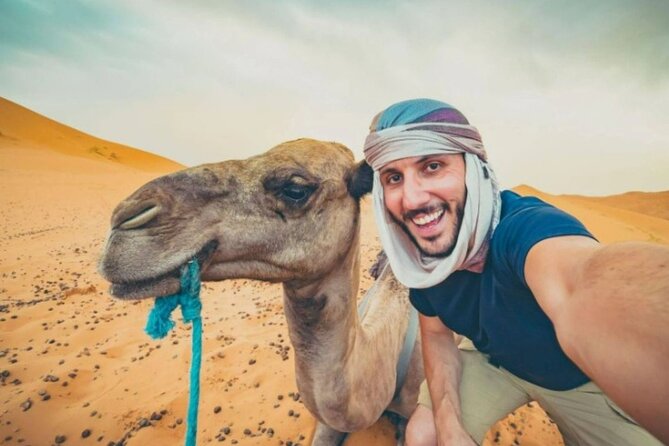 Doha Desert Safari Horse Riding, Camel Ride, ATVs & Inland Sea - An Arabian horse ride across the sand