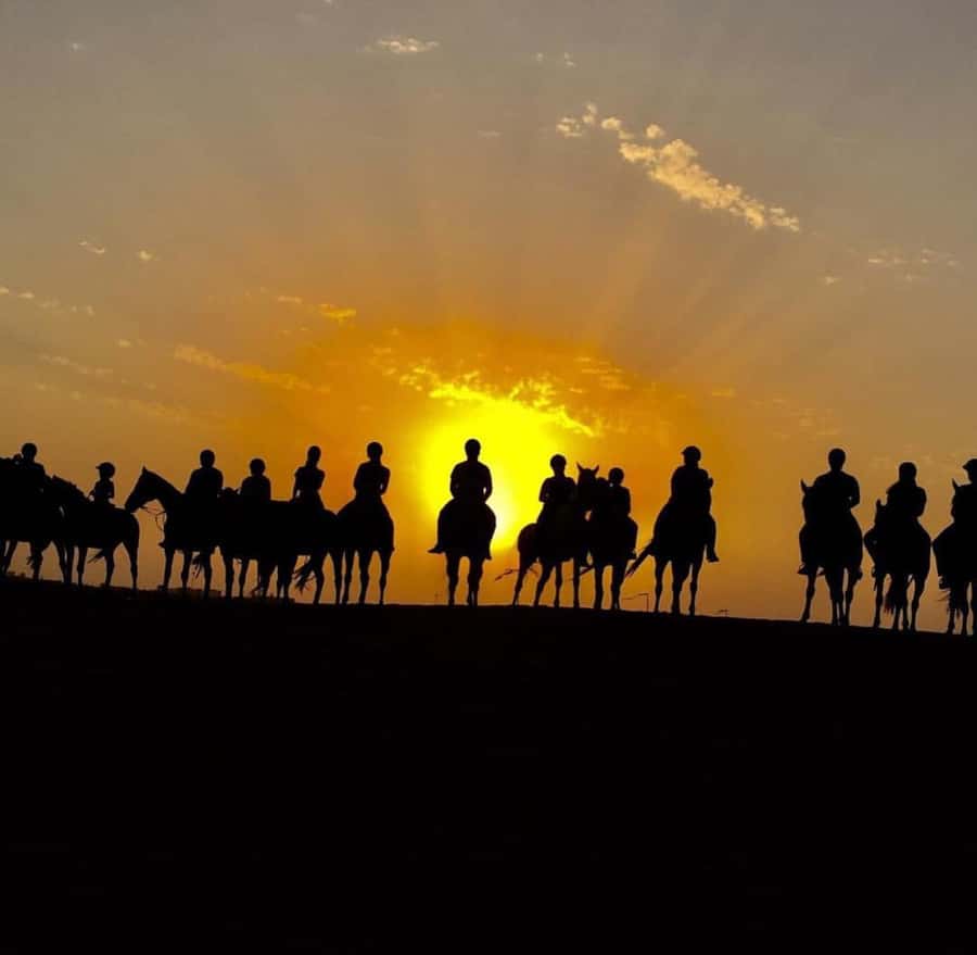 Doha : Horse Riding Tour With Transfer - Who will enjoy this ride most