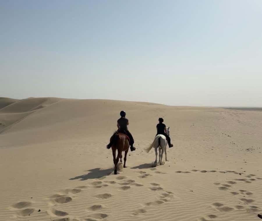 Doha Horseback Riding Adventure in Desert with Transfers - Arrival, briefing, and choosing your horse