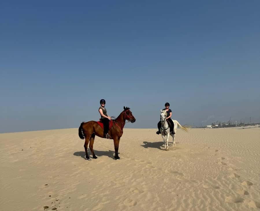 Doha Horseback Riding Adventure in Desert with Transfers - Who should book this ride?