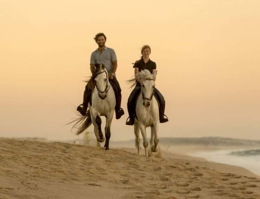 Doha Horseback Riding Adventure in Desert with Transfers - FAQ