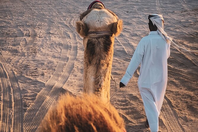 Doha-Private Half Day Safari with Horse Ride/Camel Ride/sandboard - Guides who shape the experience
