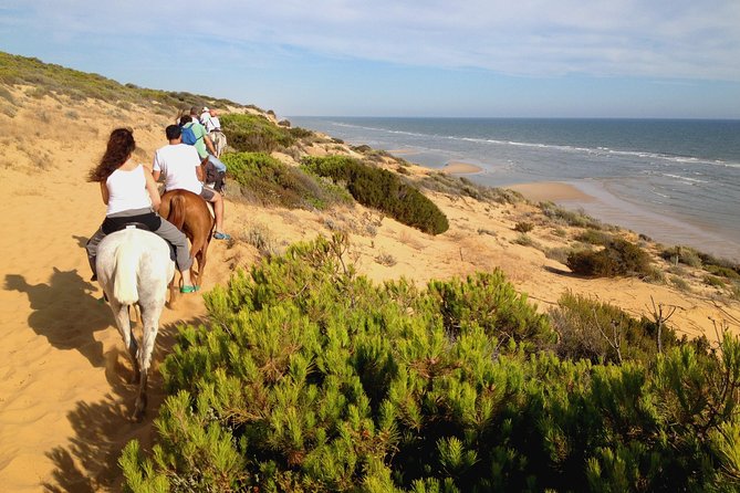 Donana National Park Horse or 4x4 Riding Day Trip - Key points to know before you book