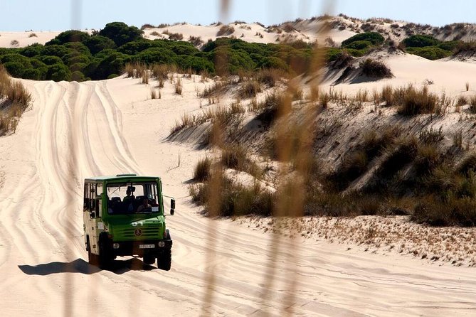 Donana National Park Horse or 4x4 Riding Day Trip - Starting from Seville at 8:00 a.m.
