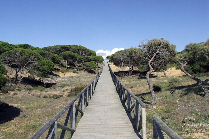 Donana National Park Horse or 4x4 Riding Day Trip - Hipica Doñana and the two-hour horse ride
