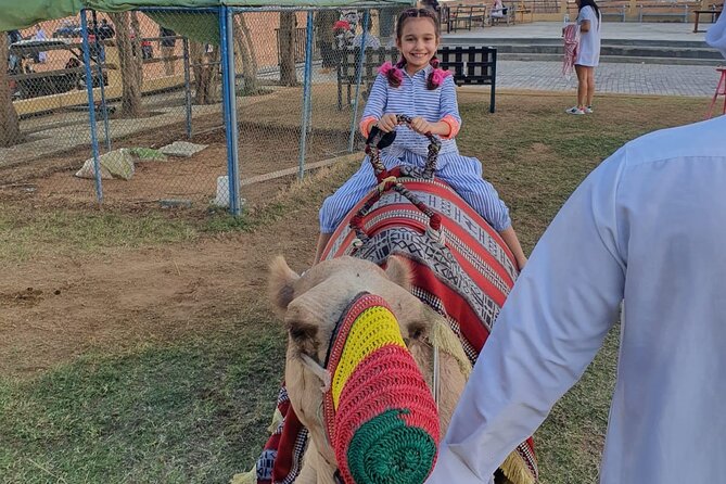 Dubai: All Inclusive Desert Safari with ATV, Camel, Horse ride, Vip & more - Is the $164.50 price good value?