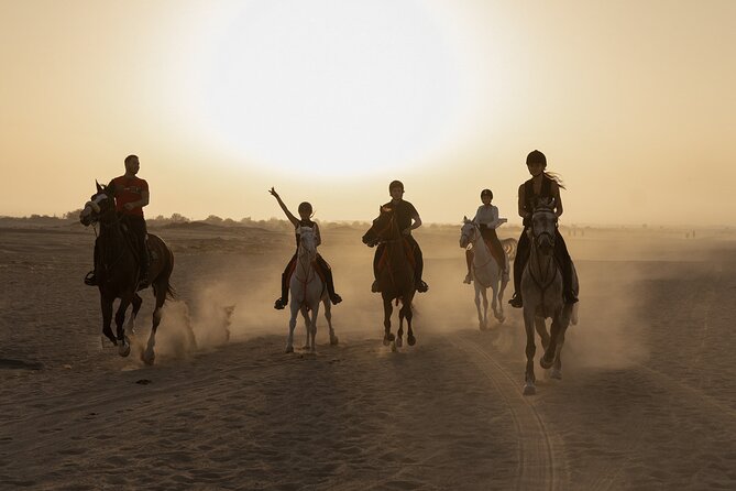 Dubai Desert Horseback Safari with Photoshoot - Key details to know before booking