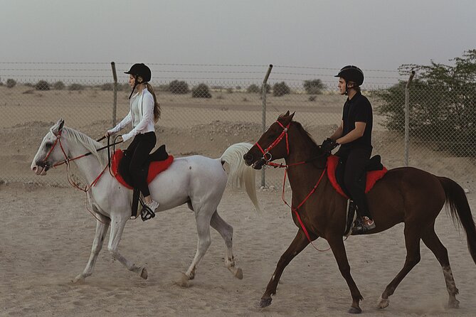 Dubai Desert Horseback Safari with Photoshoot - Meeting the horses at JSR Equestrian Club
