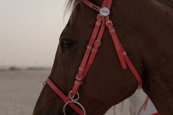 Dubai Desert Horseback Safari with Photoshoot - What the private format changes