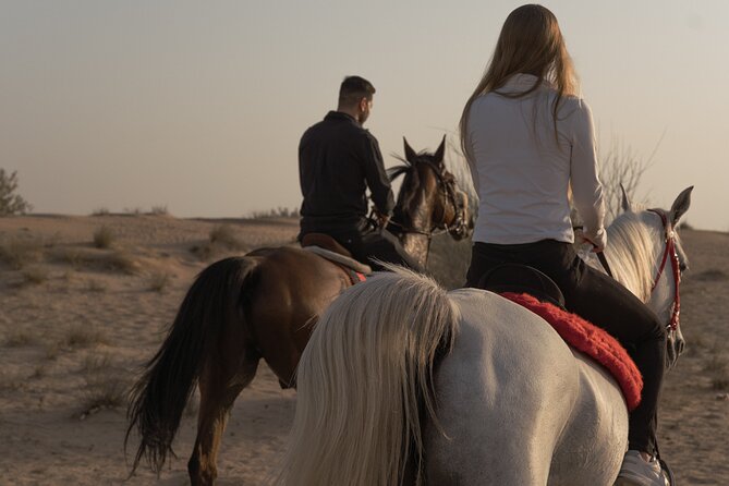 Dubai Desert Horseback Safari with Photoshoot - Is $150 a fair price?
