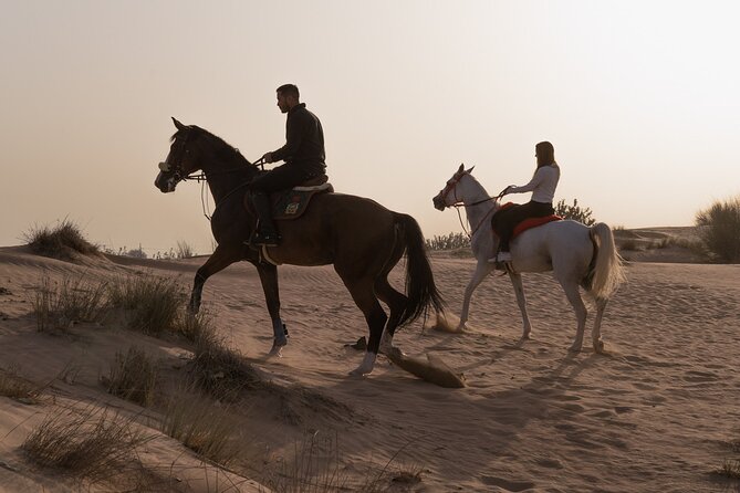 Dubai Desert Horseback Safari with Photoshoot - Preparing for a one-hour desert ride