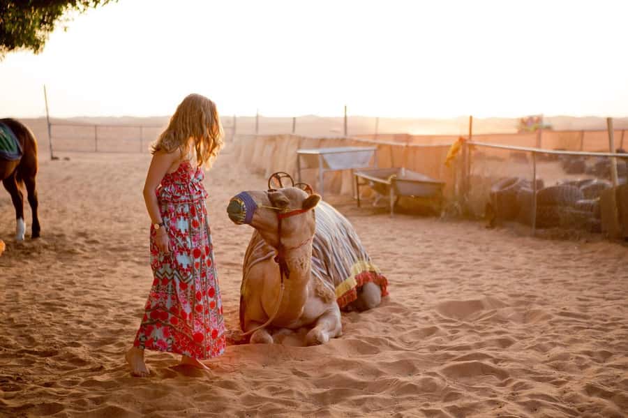 Dubai: Hot Air Balloon with Camel, ATV, & Horse Ride Options - Is $272 a fair price?