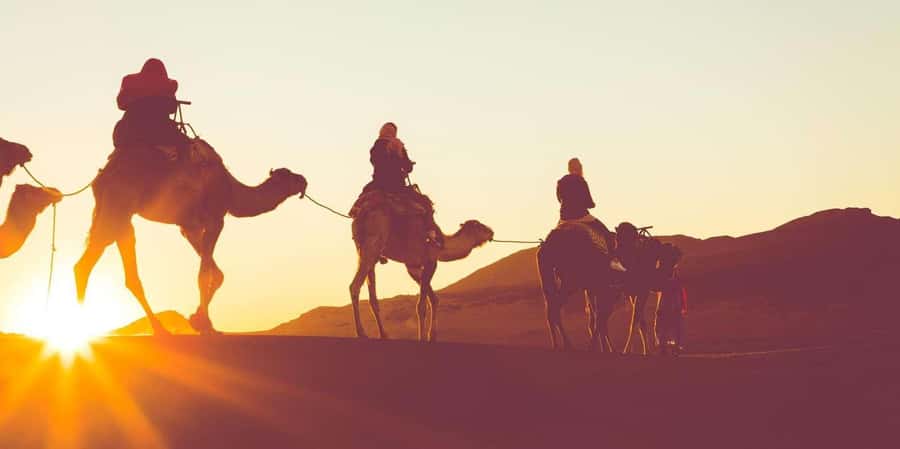 Dubai: Hot Air Balloon with Camel, ATV, & Horse Ride Options - The early pickup and 45-minute desert drive