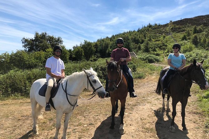 Dublin to Wicklow, Glendalough Small Group Tour with Horse Riding - Riding at Killegar Stables near Enniskerry