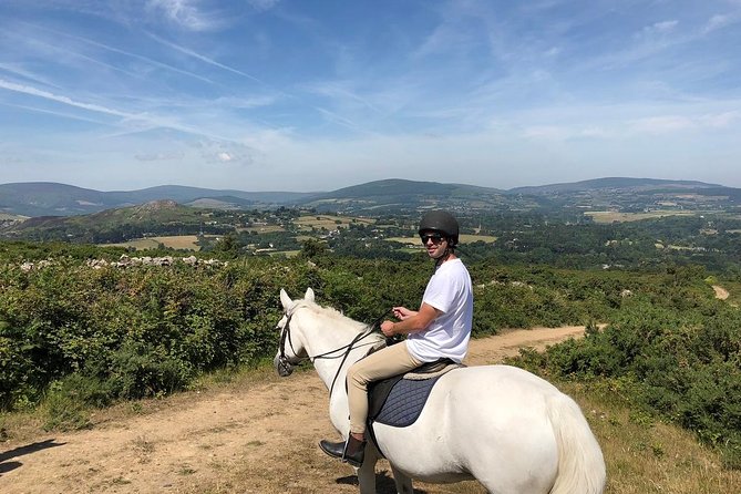 Dublin to Wicklow, Glendalough Small Group Tour with Horse Riding - Who should book this Wicklow experience?