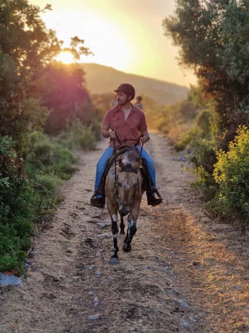 Dubrovnik Kojan Koral: Horseback Riding - At a glance