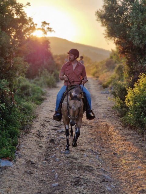Dubrovnik Kojan Koral: Horseback Riding - Leaving Dubrovnik for the Konavle coast