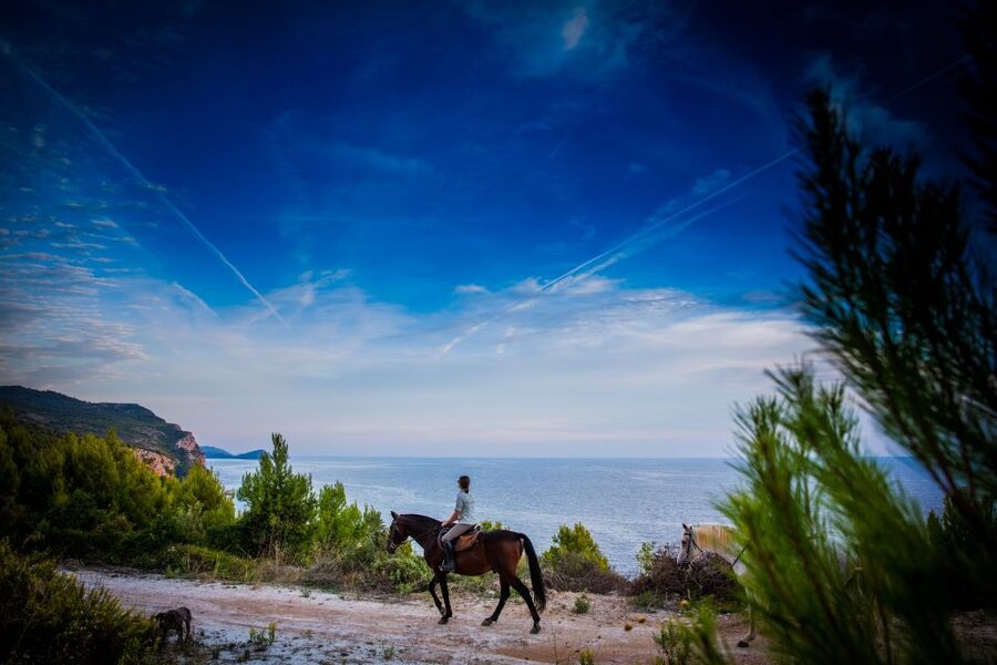 Dubrovnik Kojan Koral: Horseback Riding - Why the slow pace suits first-time riders