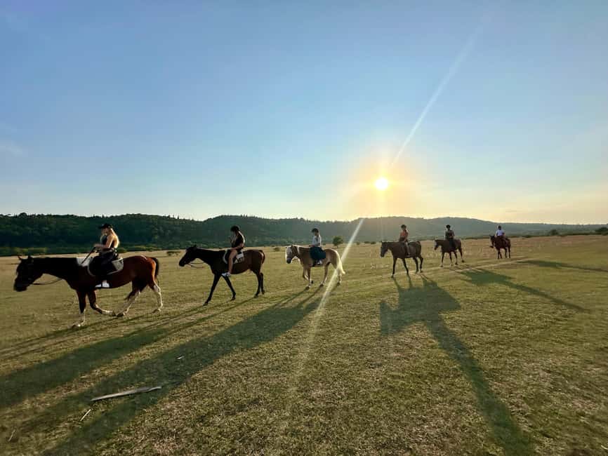 Dubrovnik: Sunset Horseback Ride with Transfers - The 90-minute ride through fields and vineyards