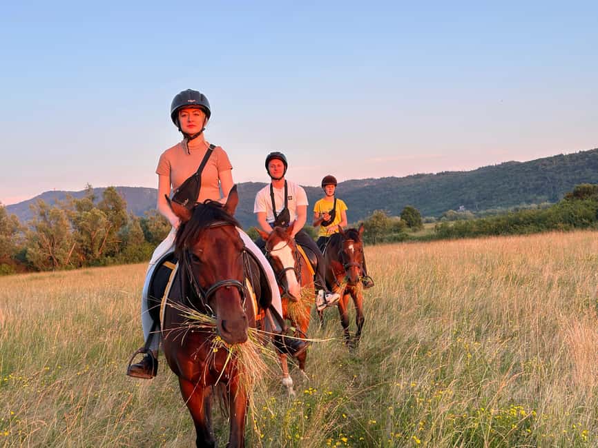 Dubrovnik: Sunset Horseback Ride with Transfers - A calm welcome at Mali Raj
