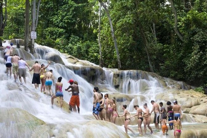 Dunn's River Falls and Horse Back Riding Excursion - Horseback riding from St. Ann’s Bay to the sea