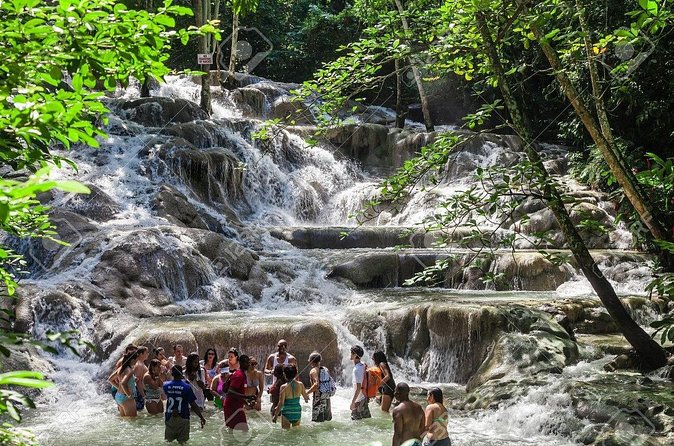 Dunn's River Falls and Horse Back Riding Excursion - Booking and cancellation details