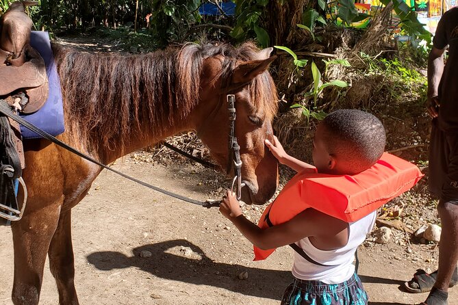 Dunn's River Falls Climb, Zipline and Horseback Riding Private Tour - Packing, weather, and cancellation rules