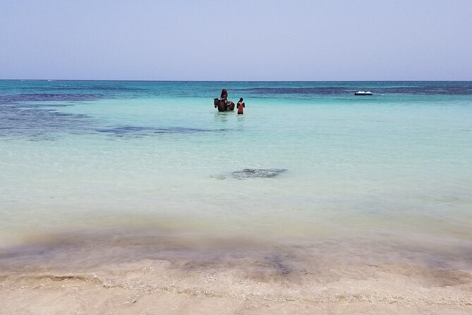 Dunn's River Falls, River Tubing, and Horseback Riding With Transportation - Should you book Road Travel Jamaica?