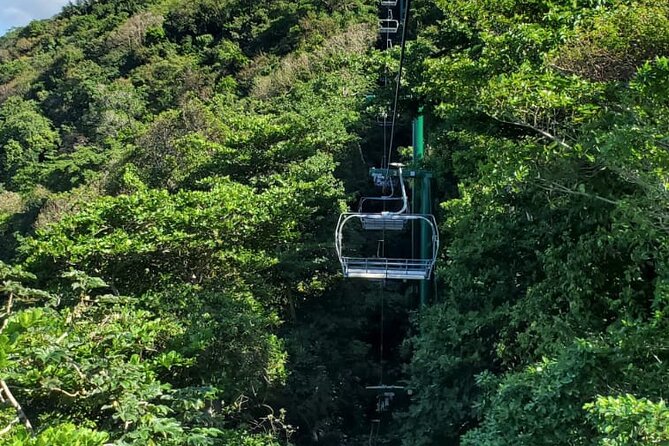 Dunn’s River Falls,Zip lining & horseback riding Combo tour from Montego Bay - Climbing Dunn’s River Falls step by step