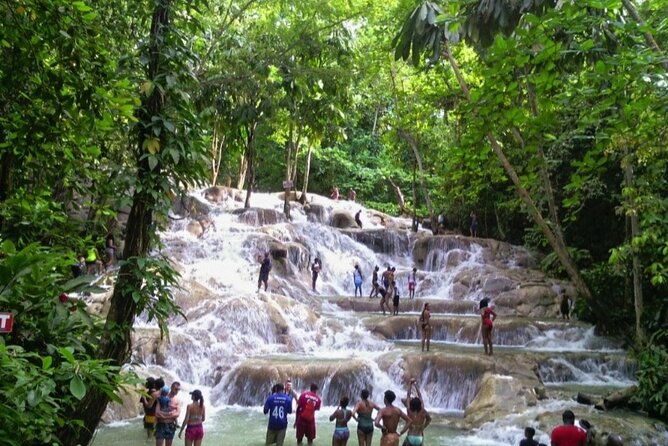 Dunns River Falls and horseback riding activity - Key points at a glance