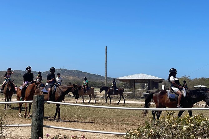 Dunns River Falls and horseback riding activity - The shipwreck and coastal photo stop